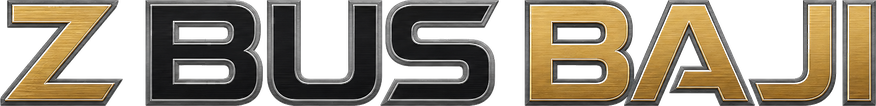 z bus baji logo